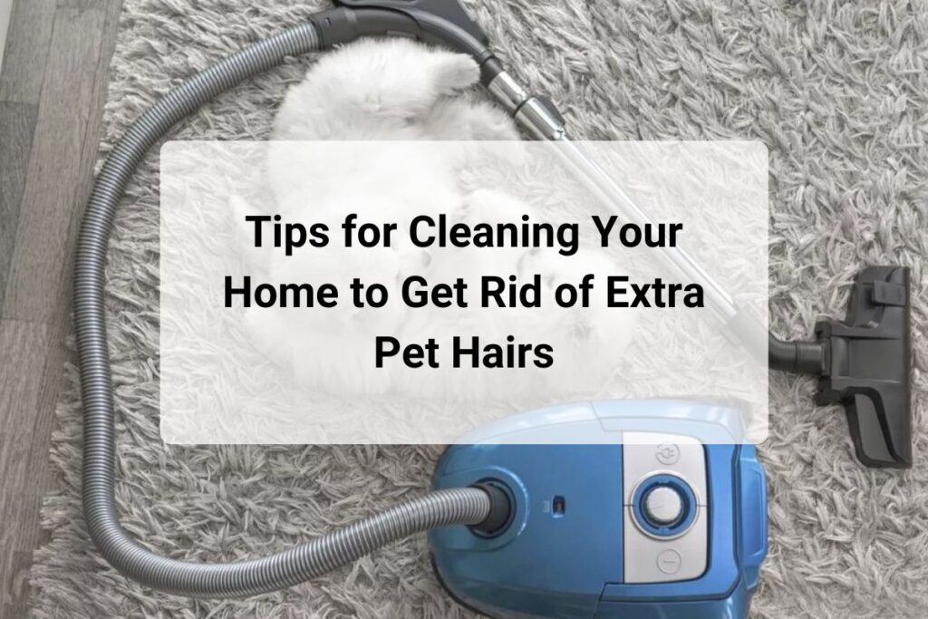 Remove Excess Pet Hairs