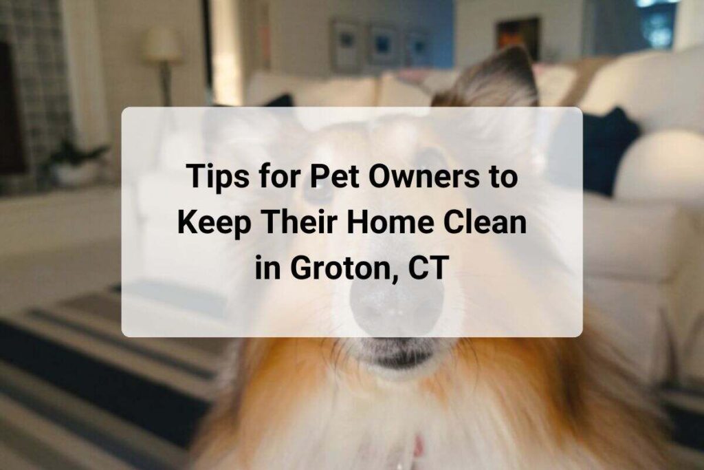 Tips for Pet Owners to Keep Their Home Clean