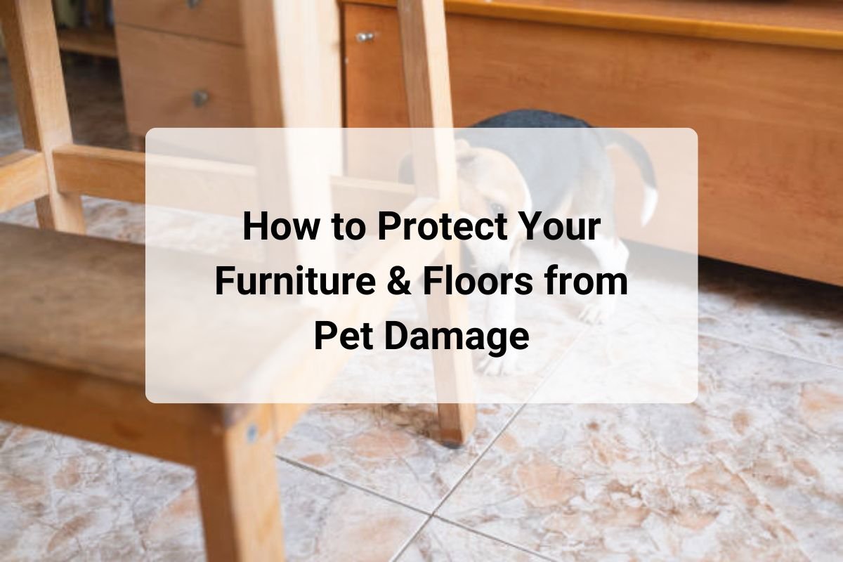 How to Protect Your Furniture & Floors from Pet Damage - Detached Fabric On Dog Pet Furniture Choking